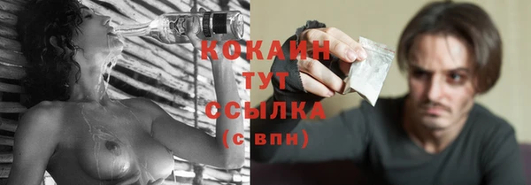 тгк Абаза