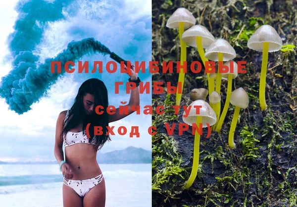 стафф Алексин