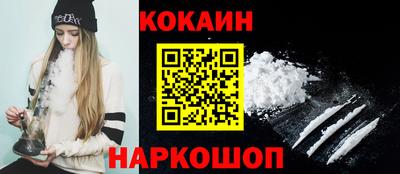 СК Гатчина
