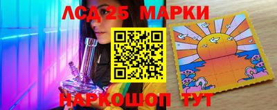 СК Гатчина