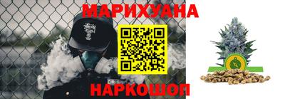 СК Гатчина