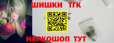 СК Гатчина