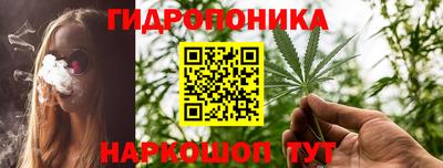 гидра Гагарин