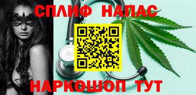 СК Гатчина