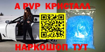 СК Гатчина