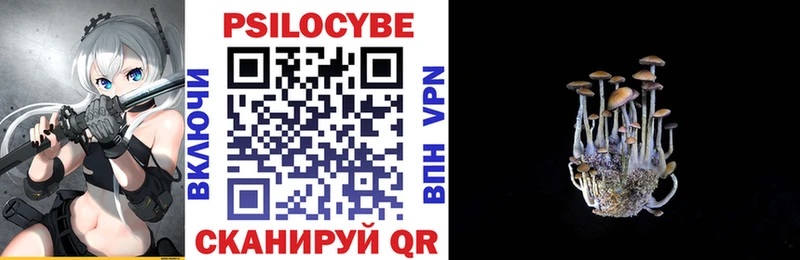 дарк нет наркотические препараты как найти Пенза Галлюциногенные грибы MAGIC MUSHROOMS