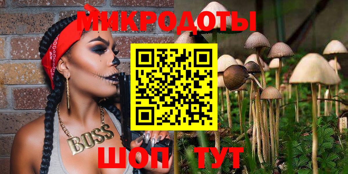 Галлюциногенные грибы Psilocybe  Вход с VPN  как найти закладки  Псилоцибиновые грибы мухоморы  Пенза 