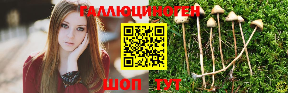 Галлюциногенные грибы Cubensis Пенза