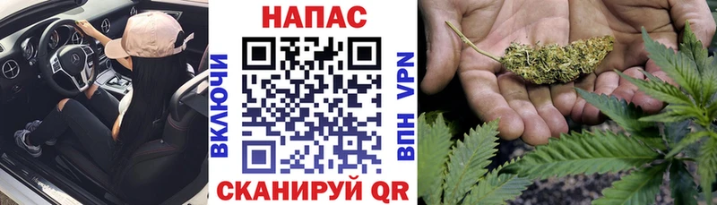 Марихуана Amnesia  Пенза 