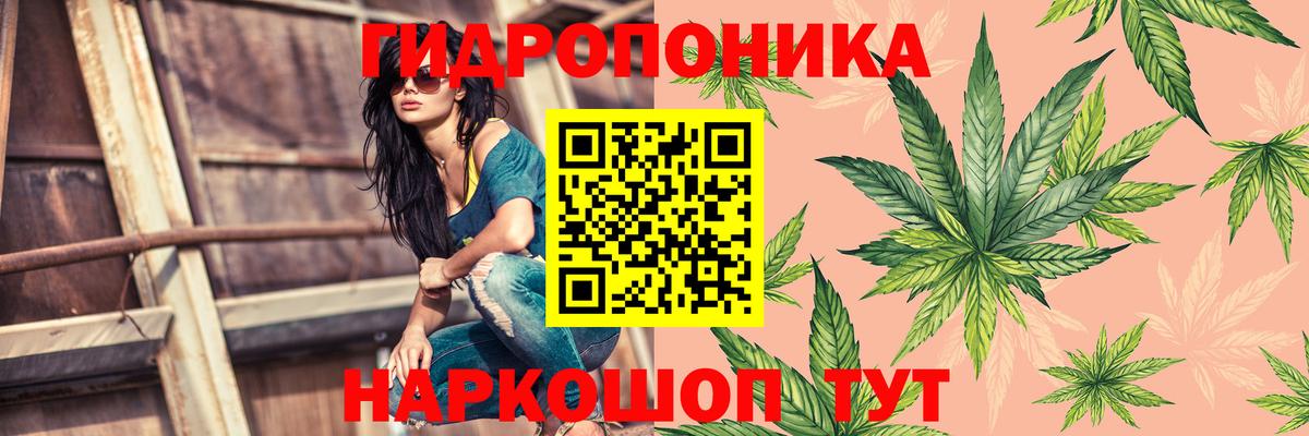 МАРИХУАНА индика Пенза